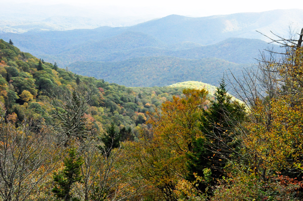 fall colors on The Blue Ridge Parkway